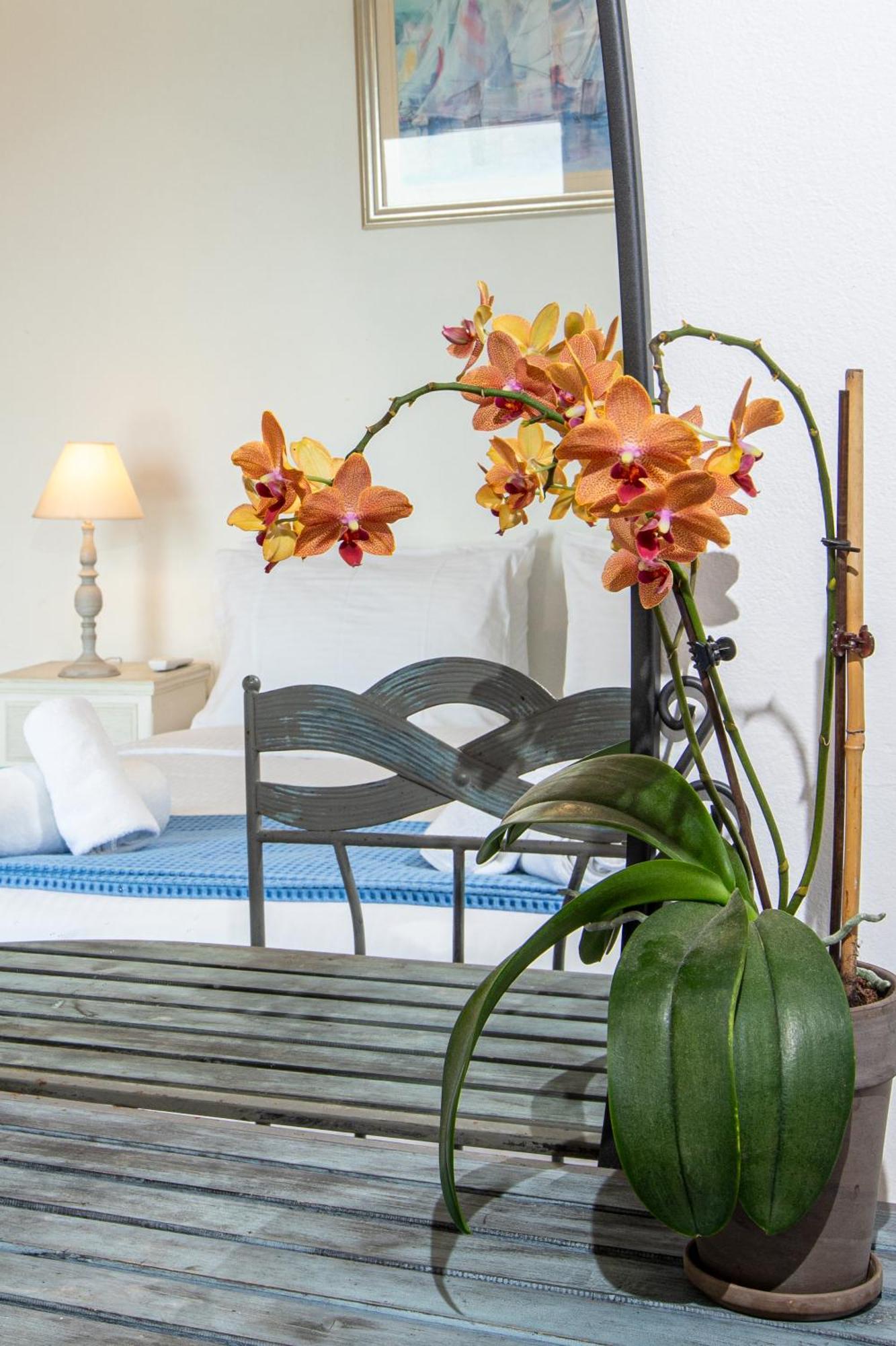 Dimitra Apartment With Private Pool And Sea View -The Ground Floor Of A Two Storey Building Daratsos Buitenkant foto